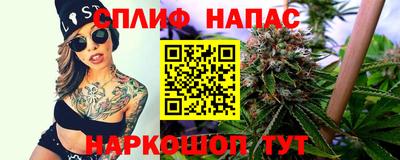 ПСИЛОЦИБИНОВЫЕ ГРИБЫ Гатчина