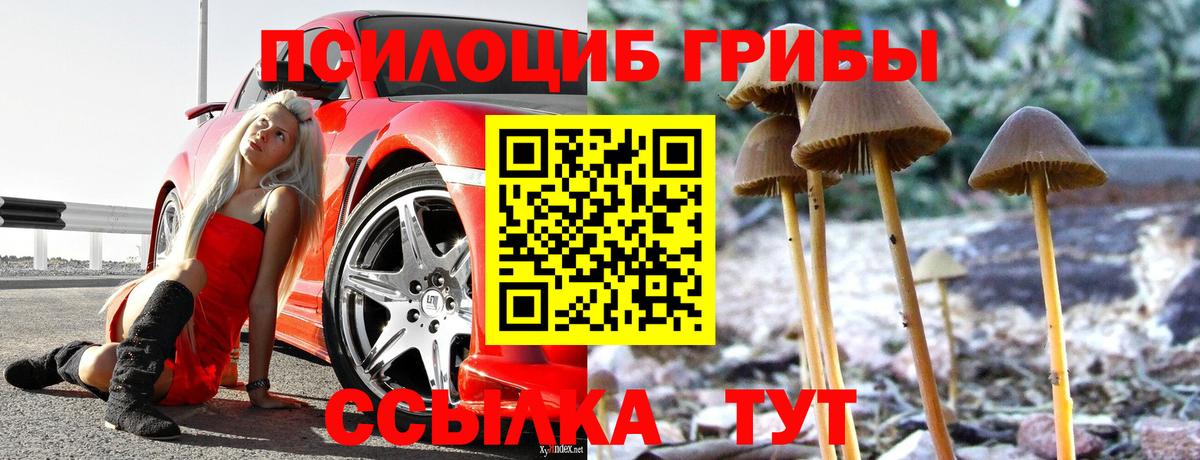 Псилоцибиновые грибы мухоморы  Вход с VPN  закладки  Надым 